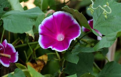 破风手格言经典语录 破风movie(图1)