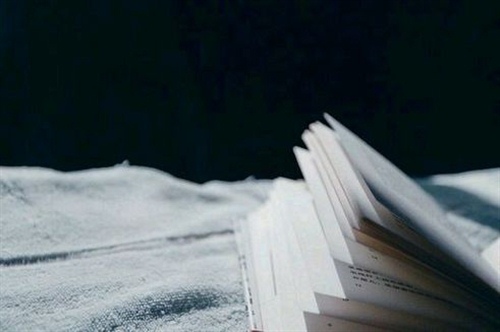 礼仪之星我的格言 礼仪之星寄语怎么写范文(图1)