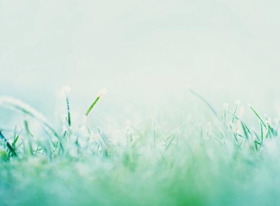 盗墓笔记解雨臣的语录 盗墓笔记对解雨臣的描写(图1)