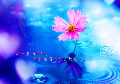 知遇之恩的优美句子 知遇之恩的优美句子简短一句话(图1)