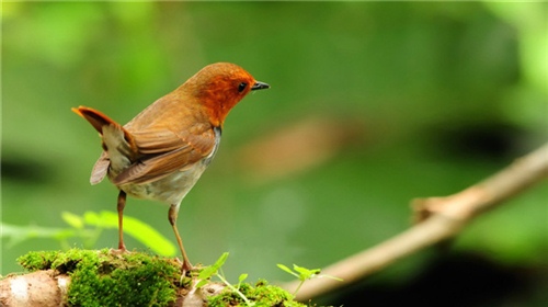 眼神充满爱意的唯美句子 眼神充满爱意的唯美句子简短英文(图1)