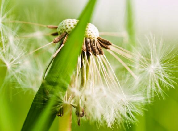 福尔摩斯说过的一句名言 福尔摩斯说过的名言名句(图1) 福尔摩斯说过的一句名言 福尔摩斯说过的名言名句(图1)