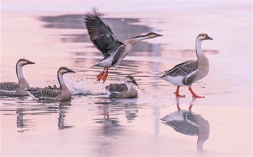 离不开的句子唯美短句 离不开你句子说说(图1)