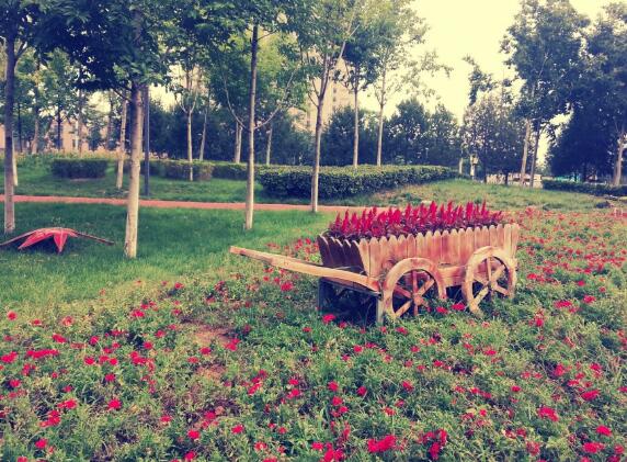 稚嫩的反义词语录 稚嫩反义词语是什么意思(图1)