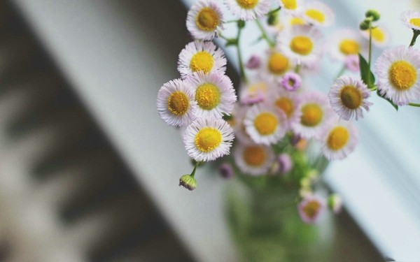 类比手法的优美句子 类比100字(图1) 类比手法的优美句子 类比100字(图1)