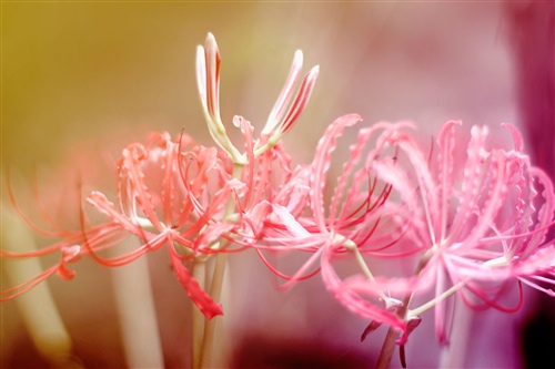 素材积累名人名言事例 名人故事素材积累摘抄100(图1) 素材积累名人名言事例 名人故事素材积累摘抄100(图1)