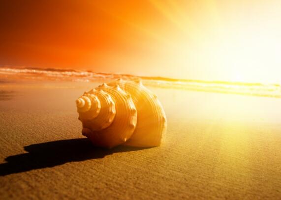 经典微信格言励志 微信格言简短句子做人(图1)