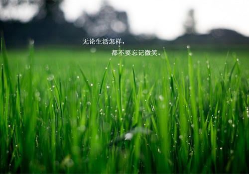 经典最冷天气的格言 天气冷的最高境界是什么(图1) 经典最冷天气的格言 天气冷的最高境界是什么(图1)