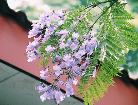 经典读书宣言短句 读书宣言短句(图1) 经典读书宣言短句 读书宣言短句(图1)