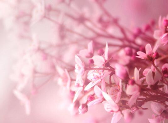 给闺蜜情话最暖心短句 给闺蜜的情语(图1) 给闺蜜情话最暖心短句 给闺蜜的情语(图1)