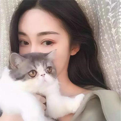 绿色森林的优美句子 描写绿色森林的作文(图1) 绿色森林的优美句子 描写绿色森林的作文(图1)