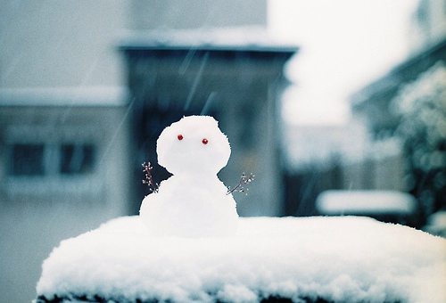 缘分天注定的经典语录 缘分天注定下一句怎么说(图1)