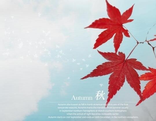 网络名言大全励志 精辟网络名句(图1)