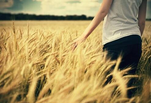 肯德基爷爷励志故事 肯德基爷爷的原型(图1)