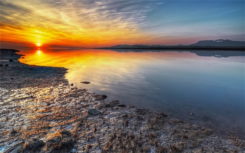 致最好的闺蜜经典语录 闺蜜寄语唯美短句(图1)