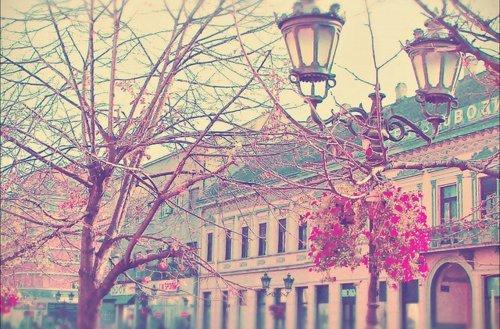 致男同桌唯美句子 描写男同桌的特点(图1)