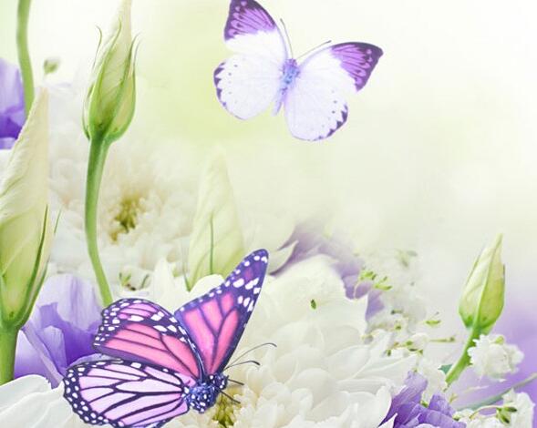 艾弗森名言短句情话 艾弗森说的话(图1) 艾弗森名言短句情话 艾弗森说的话(图1)