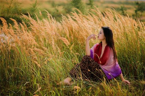 花香的诗句唯美句子 花香的诗句古诗(图1)