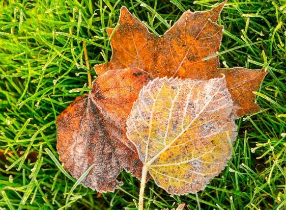 英文经典语录长一点 经典英文语录100句(图1) 英文经典语录长一点 经典英文语录100句(图1)