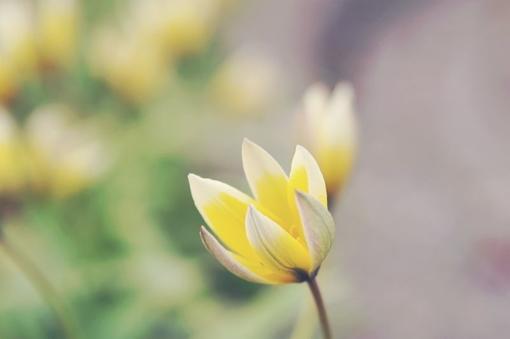 英语中祝好运的短句 英文 祝好运(图1)