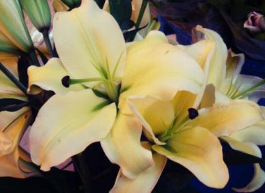 英语简单短句子大全 超简短英语句子(图1)