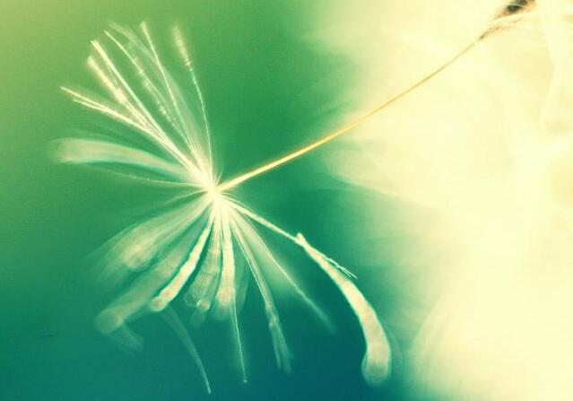 茶叶广告语录文案 茶叶广告语宣(图1)