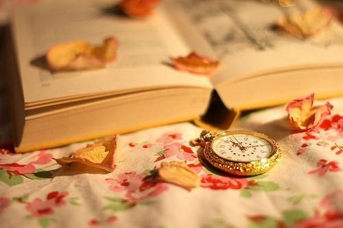 菊花开的唯美句子 九月菊花开的唯美句子(图1)