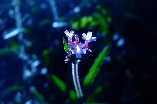 著名哲学家的名言名句 哲学家名言名句100句(图1) 著名哲学家的名言名句 哲学家名言名句100句(图1)