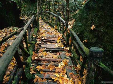 蒙丹经典语录大全 蒙丹的台词(图1)