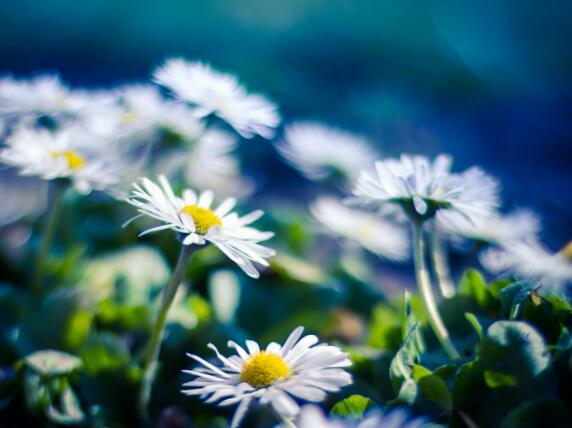 让人平和心态的说说 平和的心态的说说短句(图1) 让人平和心态的说说 平和的心态的说说短句(图1)