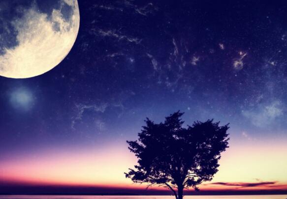 论坛签名短句可爱 论坛签名尺寸(图1)