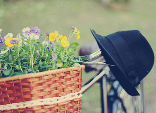 讽刺的语录经典句子 讽刺经典语录大全(图1) 讽刺的语录经典句子 讽刺经典语录大全(图1)