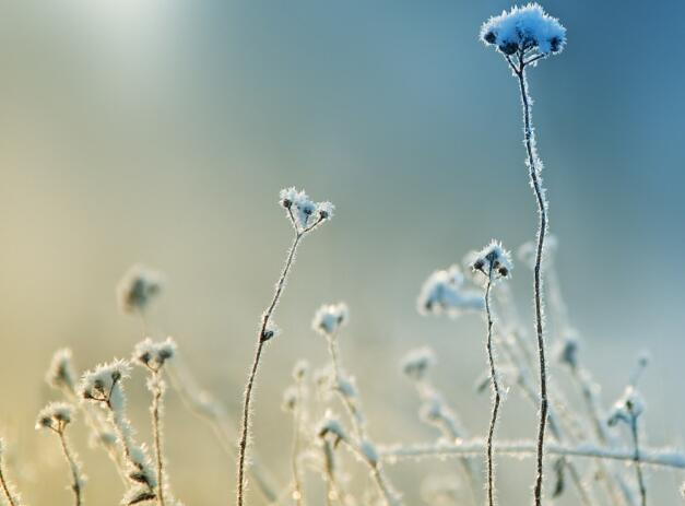 诗意情话短句十字 诗意情话短句十字左右怎么写(图1) 诗意情话短句十字 诗意情话短句十字左右怎么写(图1)