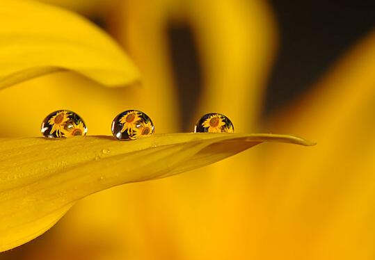 说说天气冷了的句子 说说天气冷的心情短语(图1)