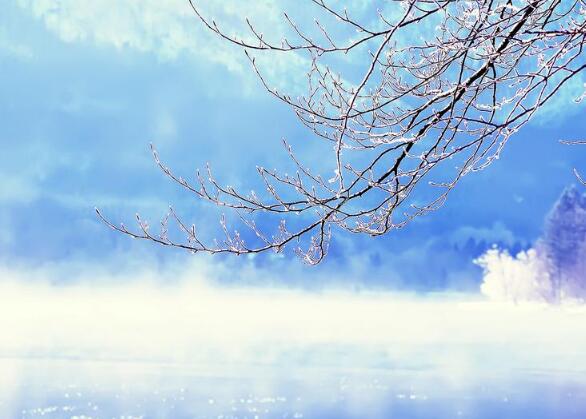 说说生活中有趣的小故事 生活中的有趣的故事三年级(图1) 说说生活中有趣的小故事 生活中的有趣的故事三年级(图1)