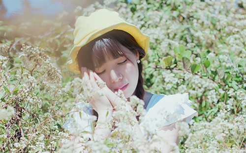 请你别去打扰我的说说 请别打扰我的英文怎么说(图1)