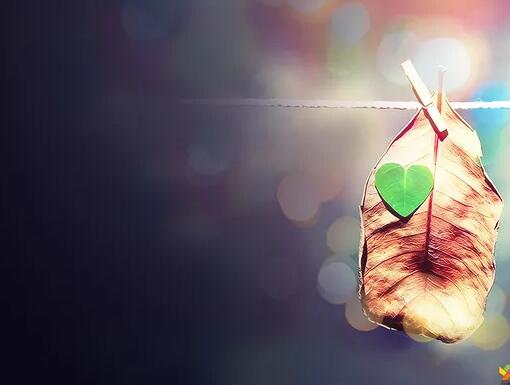 诸葛亮古诗经典语录 诸葛亮古诗经典语录大全图片(图1) 诸葛亮古诗经典语录 诸葛亮古诗经典语录大全图片(图1)