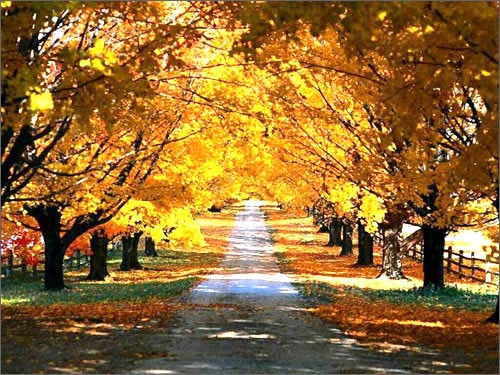 财散人聚的格言句子 聚财人散,财散人聚出自哪里(图1) 财散人聚的格言句子 聚财人散,财散人聚出自哪里(图1)