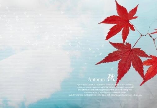 赞美女生的短句五字 赞美女生的经典语录(图1) 赞美女生的短句五字 赞美女生的经典语录(图1)