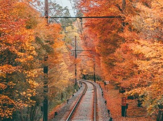 超甜可爱短句文案 很甜很可爱的文案怎么写(图1) 超甜可爱短句文案 很甜很可爱的文案怎么写(图1)
