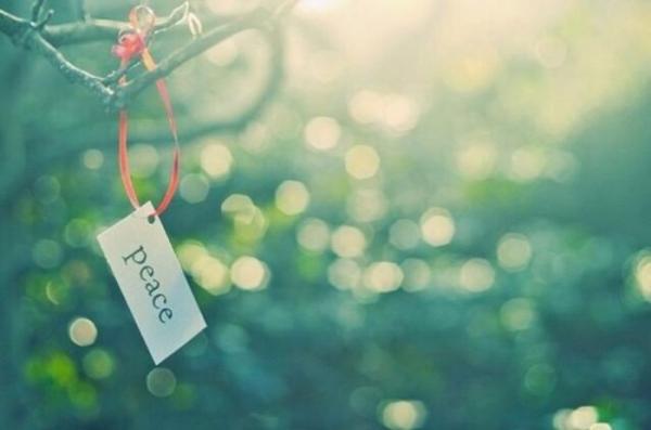 超载爱情短句伤感 超载了吧(图1)