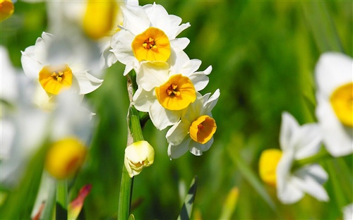 追求高效的励志语录 追求高效的励志语录短句(图1)