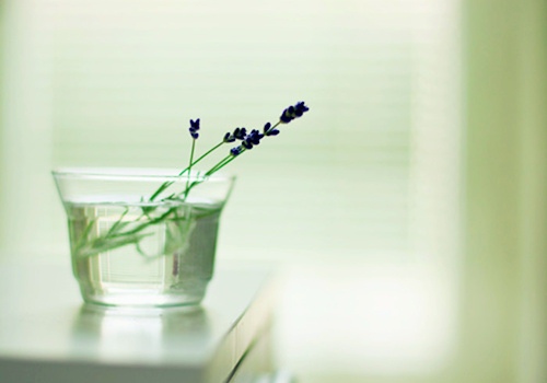 送离职同事赠言短句(图1) 送离职同事赠言短句(图1)