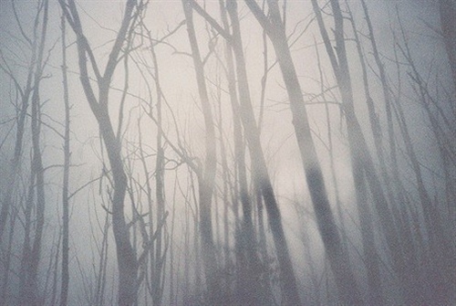 送给老师的一句话短句 送给老师的句子简短(图1) 送给老师的一句话短句 送给老师的句子简短(图1)