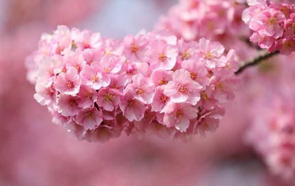 适合贴在图书角的短句 图书角贴的格言(图1) 适合贴在图书角的短句 图书角贴的格言(图1)