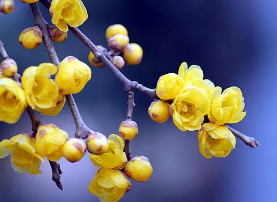 遇见你是我的错说说 遇见你是我的错说说(图1)