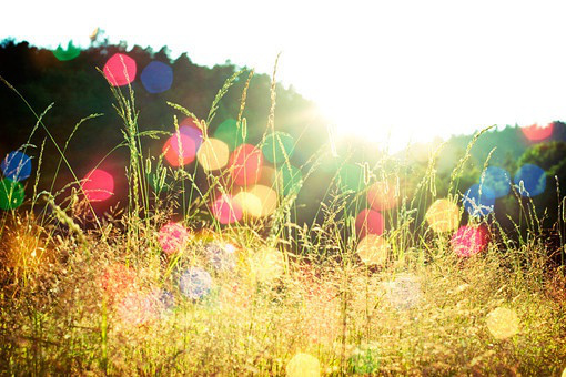 遵从自己的内心的短句 遵从自己的内心用成语怎么说(图1) 遵从自己的内心的短句 遵从自己的内心用成语怎么说(图1)