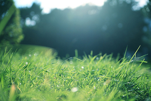 配音人物经典语录 配音的人物(图1) 配音人物经典语录 配音的人物(图1)