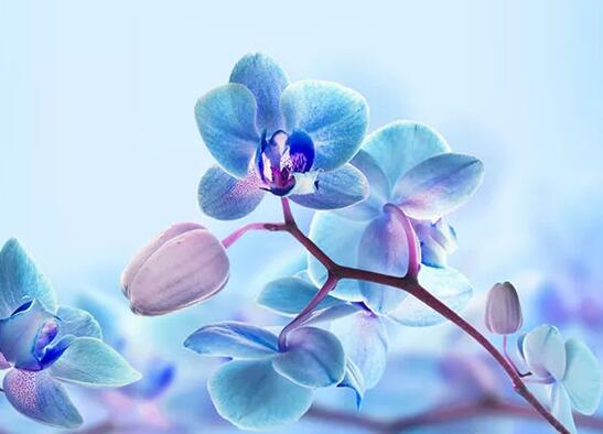 量变到质变的励志名言 量变到质变的句子(图1) 量变到质变的励志名言 量变到质变的句子(图1)