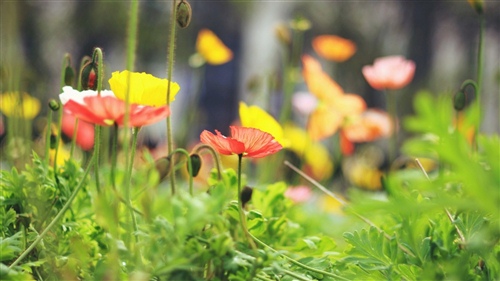 销售产品励志广告词短句 销售产品宣传语怎么写(图1)